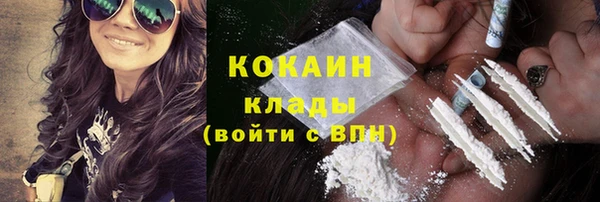 СК Алексин